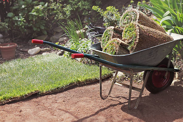 Lawn Soil